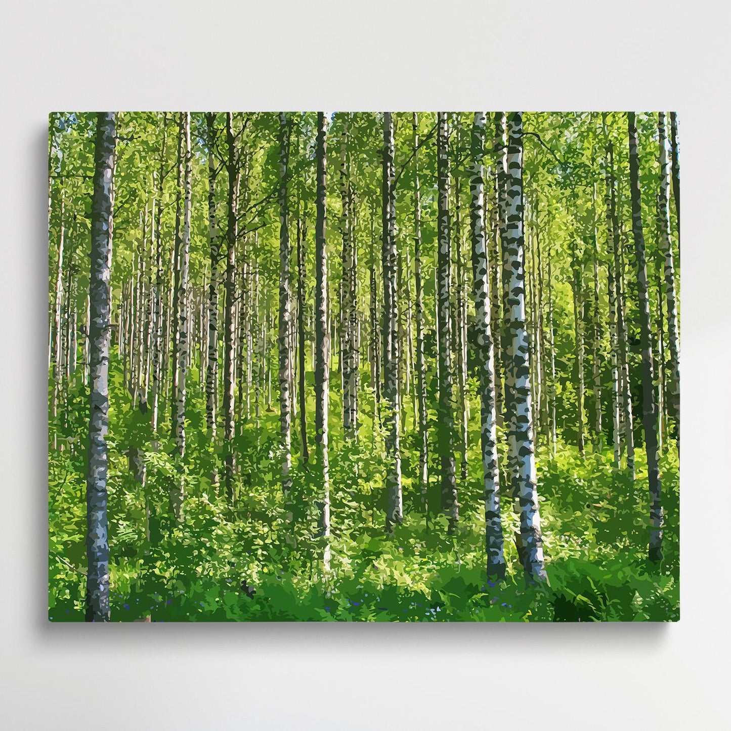 Forest | Paint by Numbers | Landscape-Paintsuper