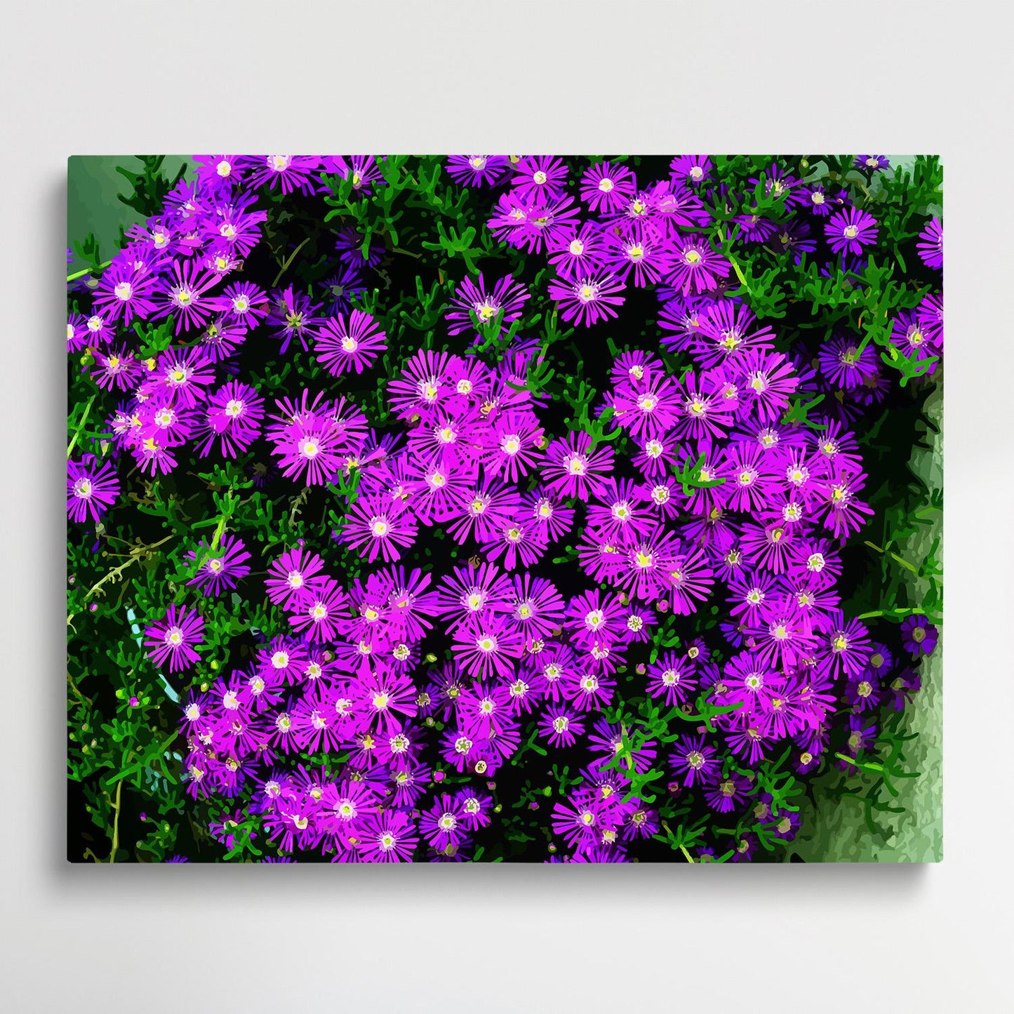 Colored Daisy V11 | Paint by Numbers | Flowers-Paintsuper