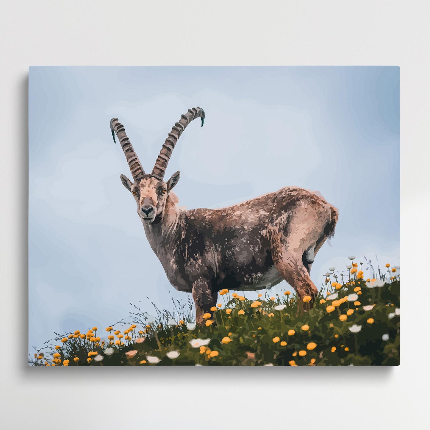 Capricor | Paint by Numbers | Animals-Paintsuper