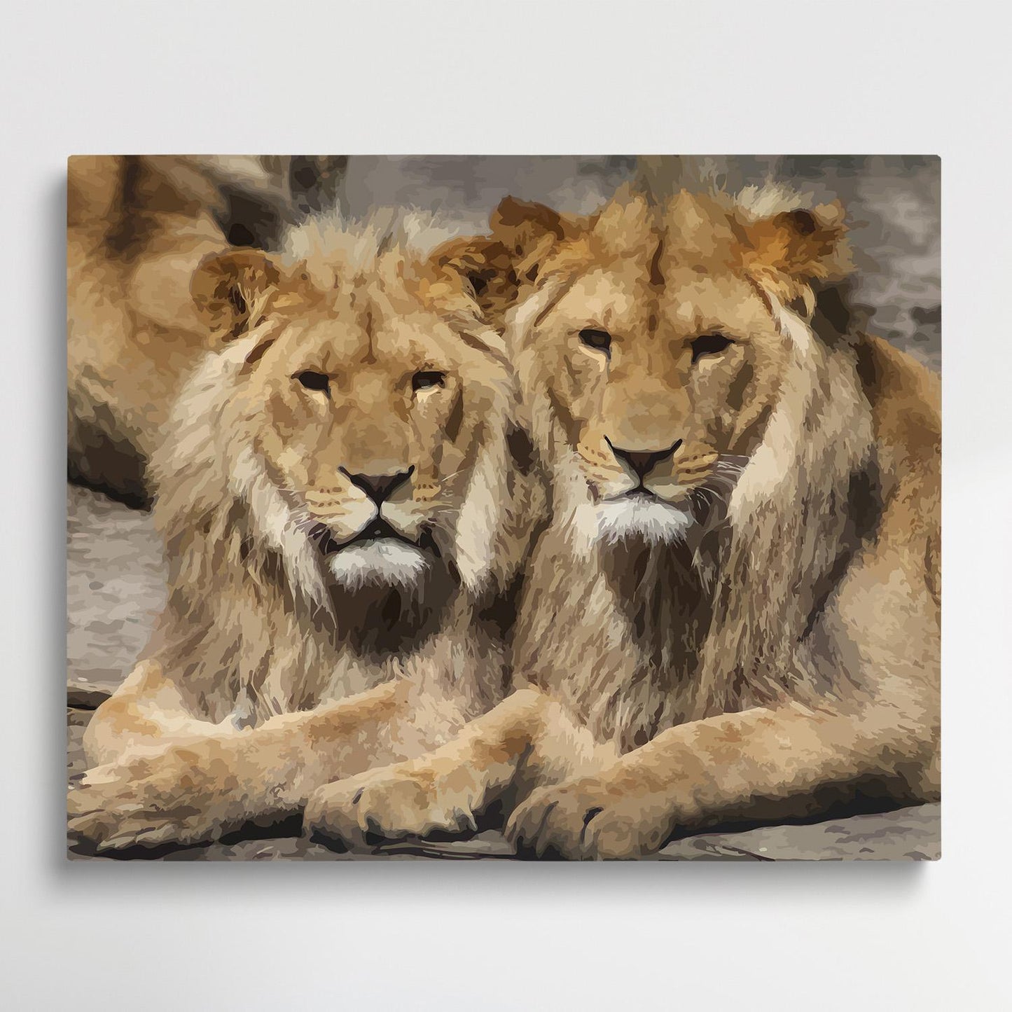 Lions | Paint by Numbers | Animals-Paintsuper