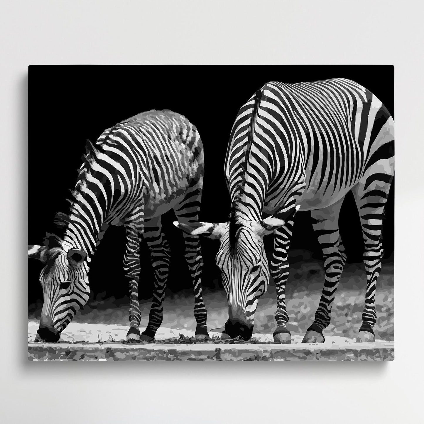 Zebras | Paint by Numbers | Animals-Paintsuper
