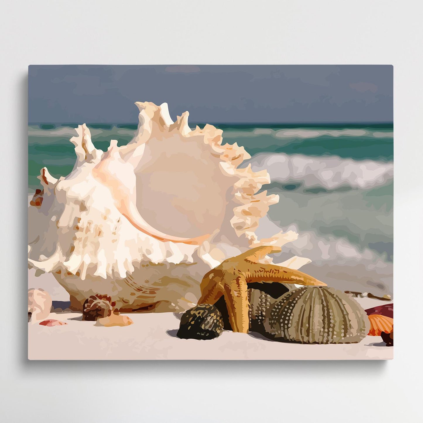 Conch on the beach V2 | Paint by Numbers | Marine Life-Paintsuper