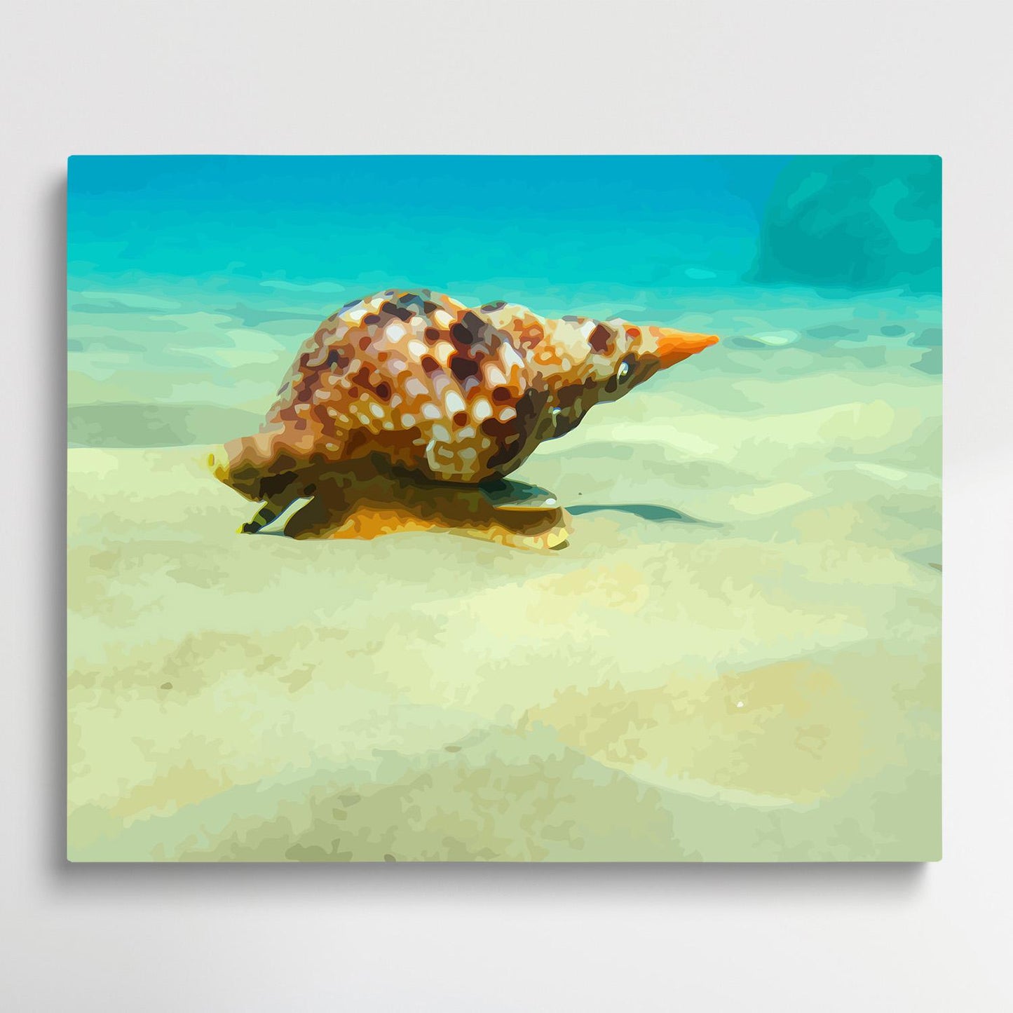 Conch | Paint by Numbers | Marine Life-Paintsuper