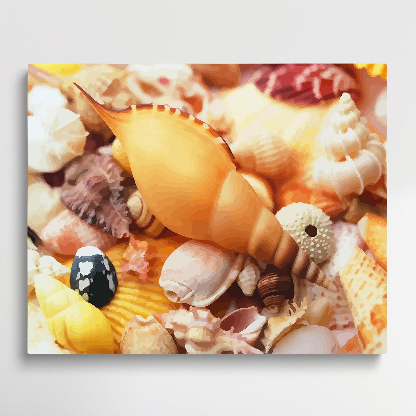Seashells | Paint by Numbers | Marine Life-Paintsuper