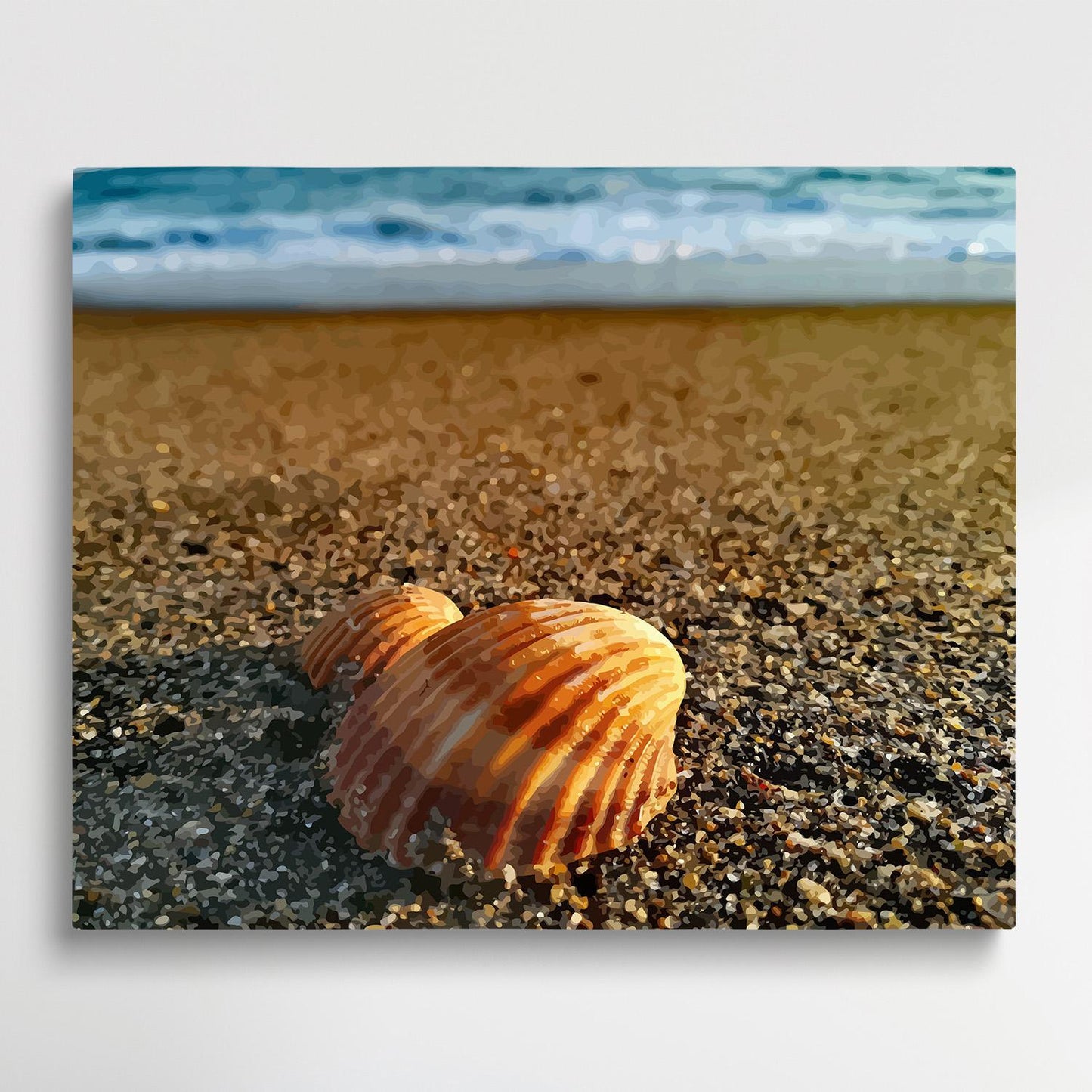Shells on the beach | Paint by Numbers | Marine Life-Paintsuper