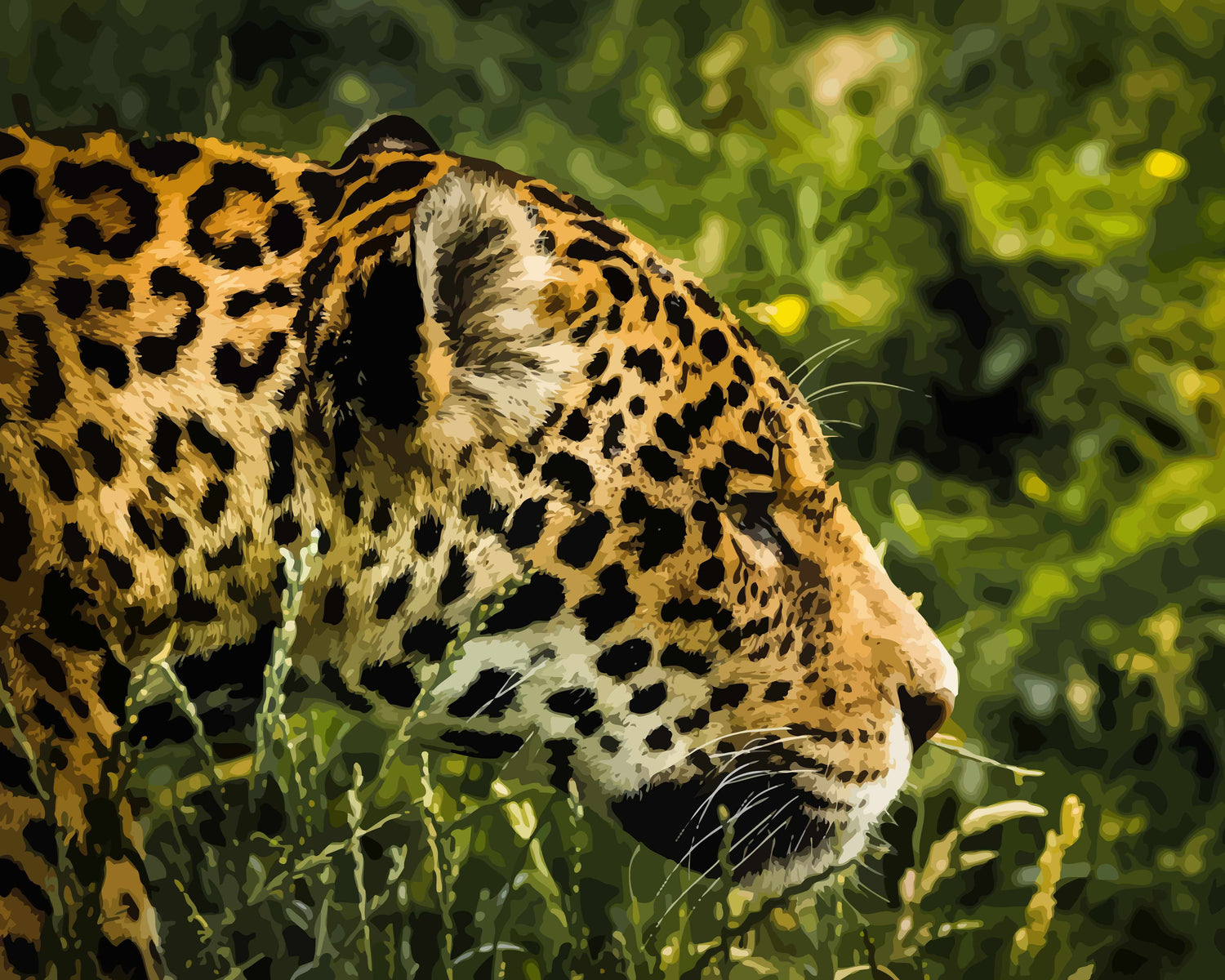 Animals | Paint by Numbers