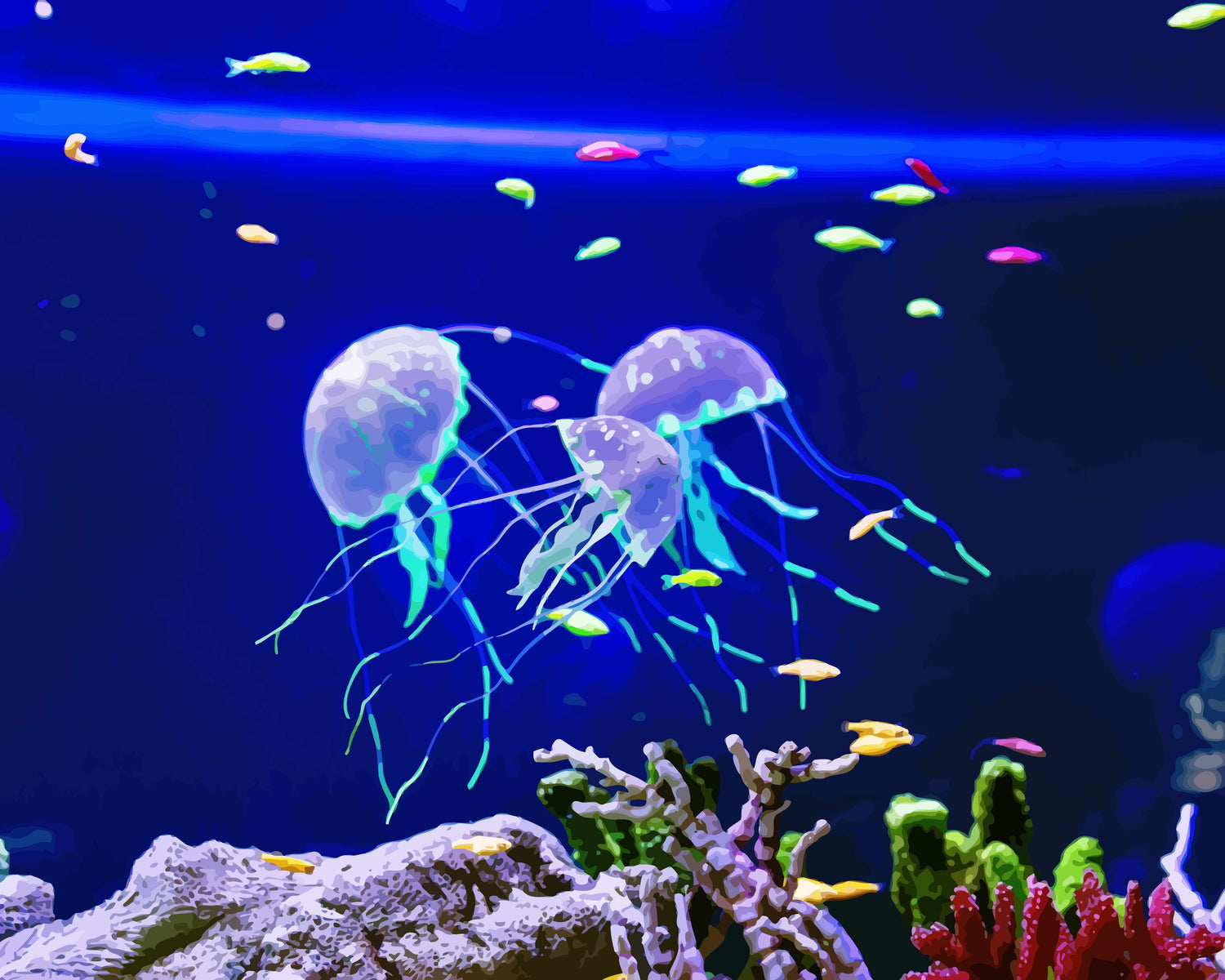 Marine Life | Paint by Numbers