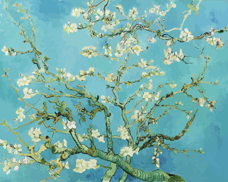Van Gogh | Paint by Numbers