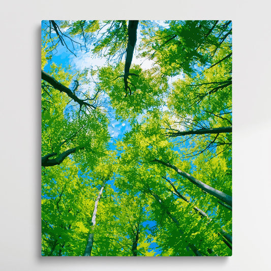 The sky over the forest | Paint by Numbers | Landscape-Paintsuper