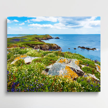Grassland on the seaside | Paint by Numbers | Landscape-Paintsuper