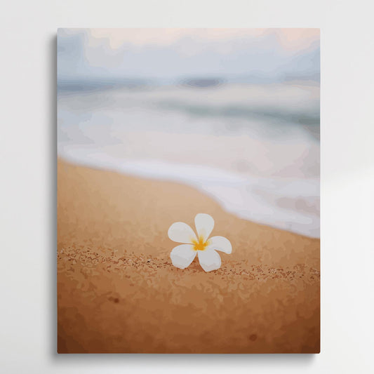 Small flowers on the beach | Paint by Numbers | Landscape-Paintsuper