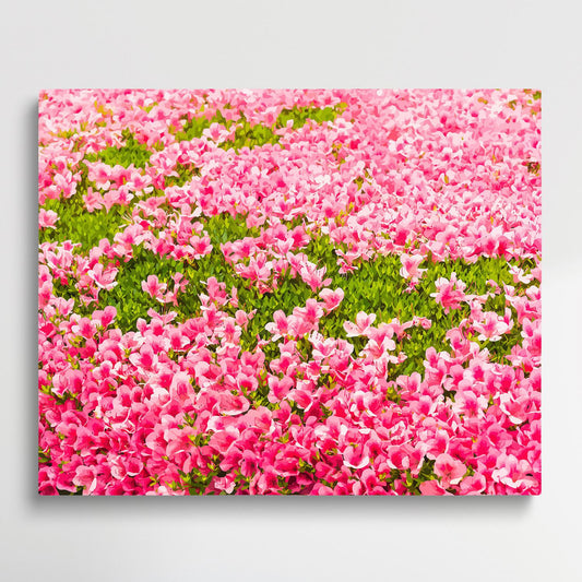 Azalea V1 | Paint by Numbers | Flowers-Paintsuper