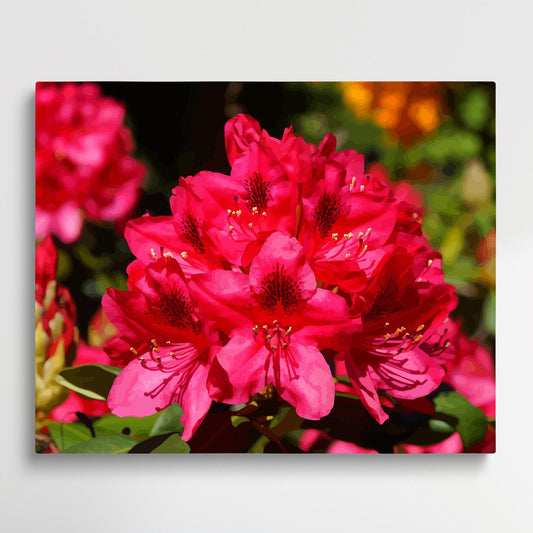 Azalea V2 | Paint by Numbers | Flowers-Paintsuper
