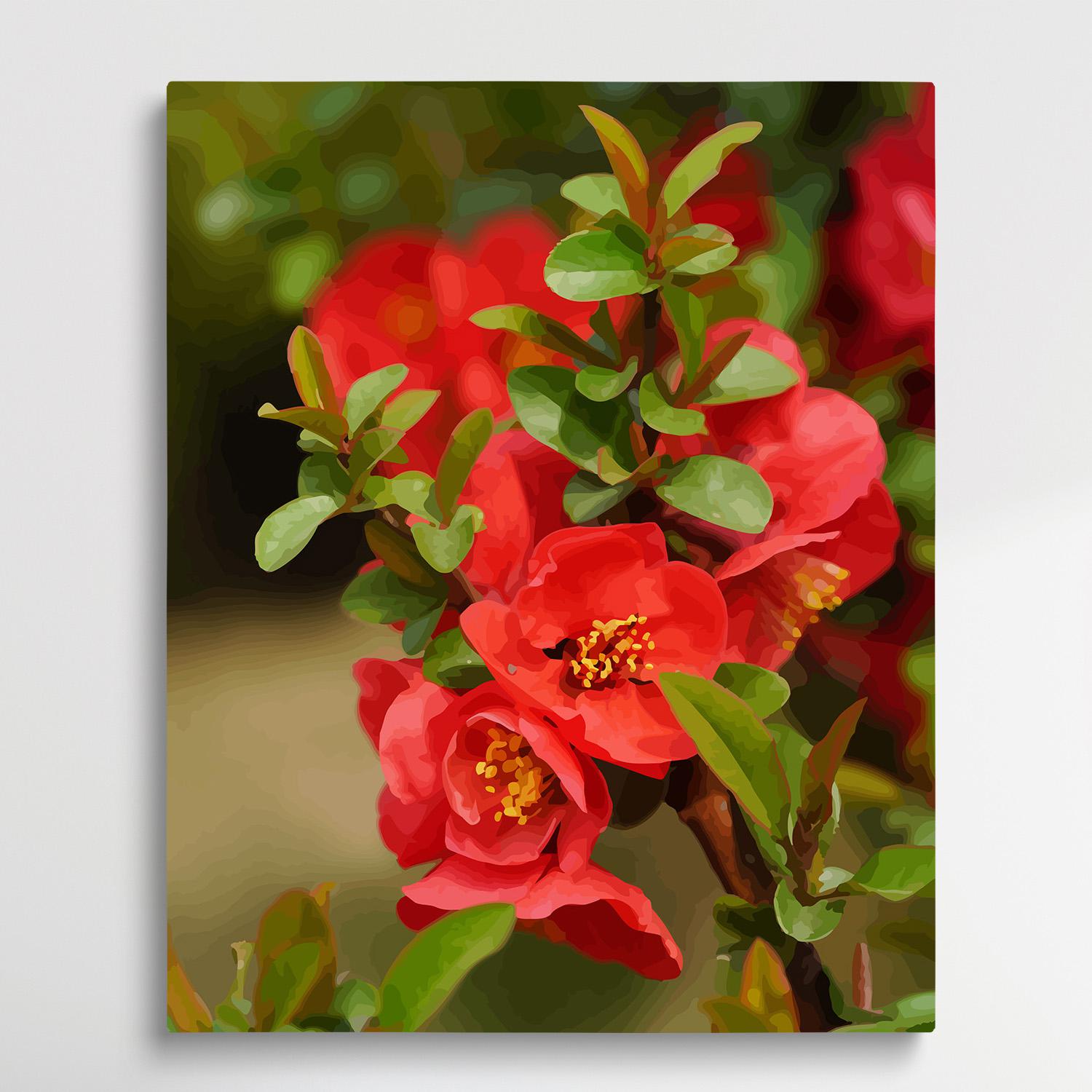 Begonia | Paint by Numbers | Flowers-Paintsuper