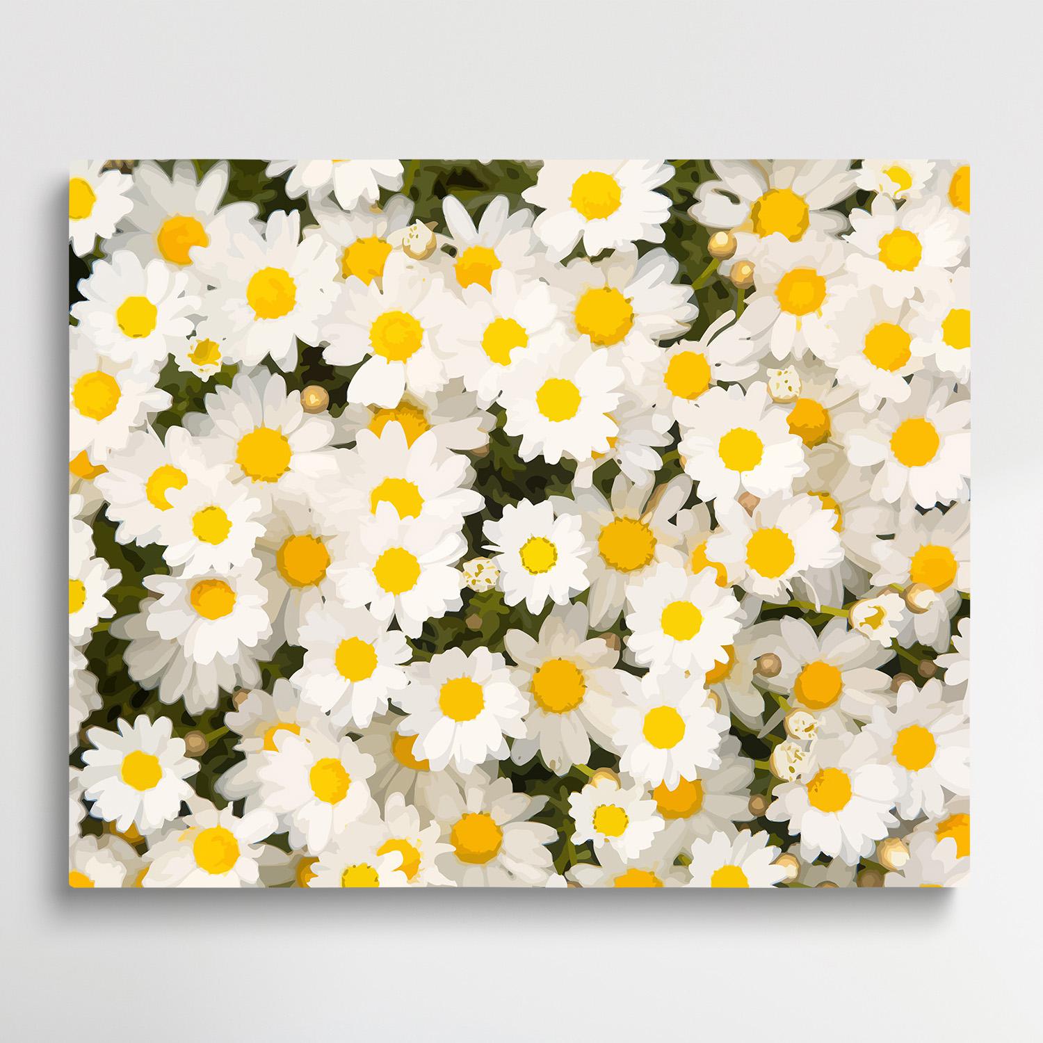 Chamomile V1 | Paint by Numbers | Flowers-Paintsuper