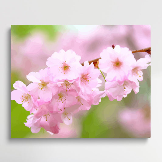 Cherry blossoms V3 | Paint by Numbers | Flowers-Paintsuper