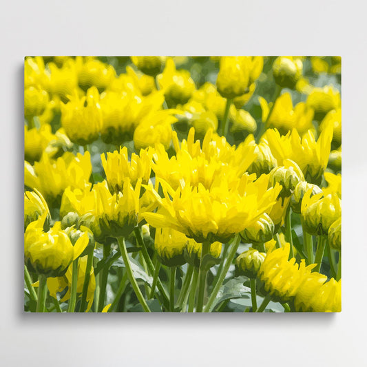 Chrysanthemum V3 | Paint by Numbers | Flowers-Paintsuper