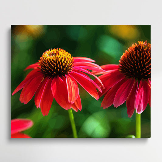 Colored Daisy V1 | Paint by Numbers | Flowers-Paintsuper
