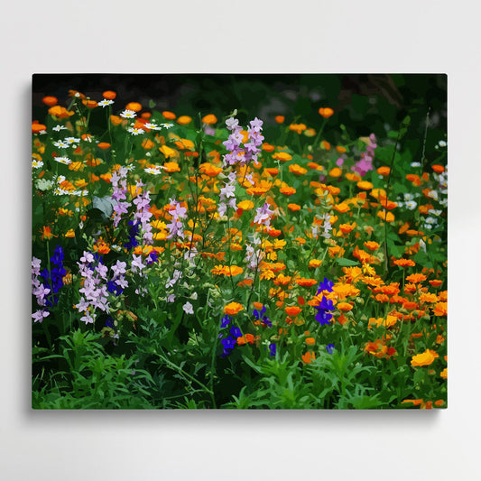 Colored Daisy V10 | Paint by Numbers | Flowers-Paintsuper