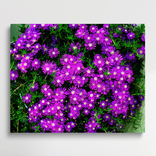 Colored Daisy V11 | Paint by Numbers | Flowers-Paintsuper
