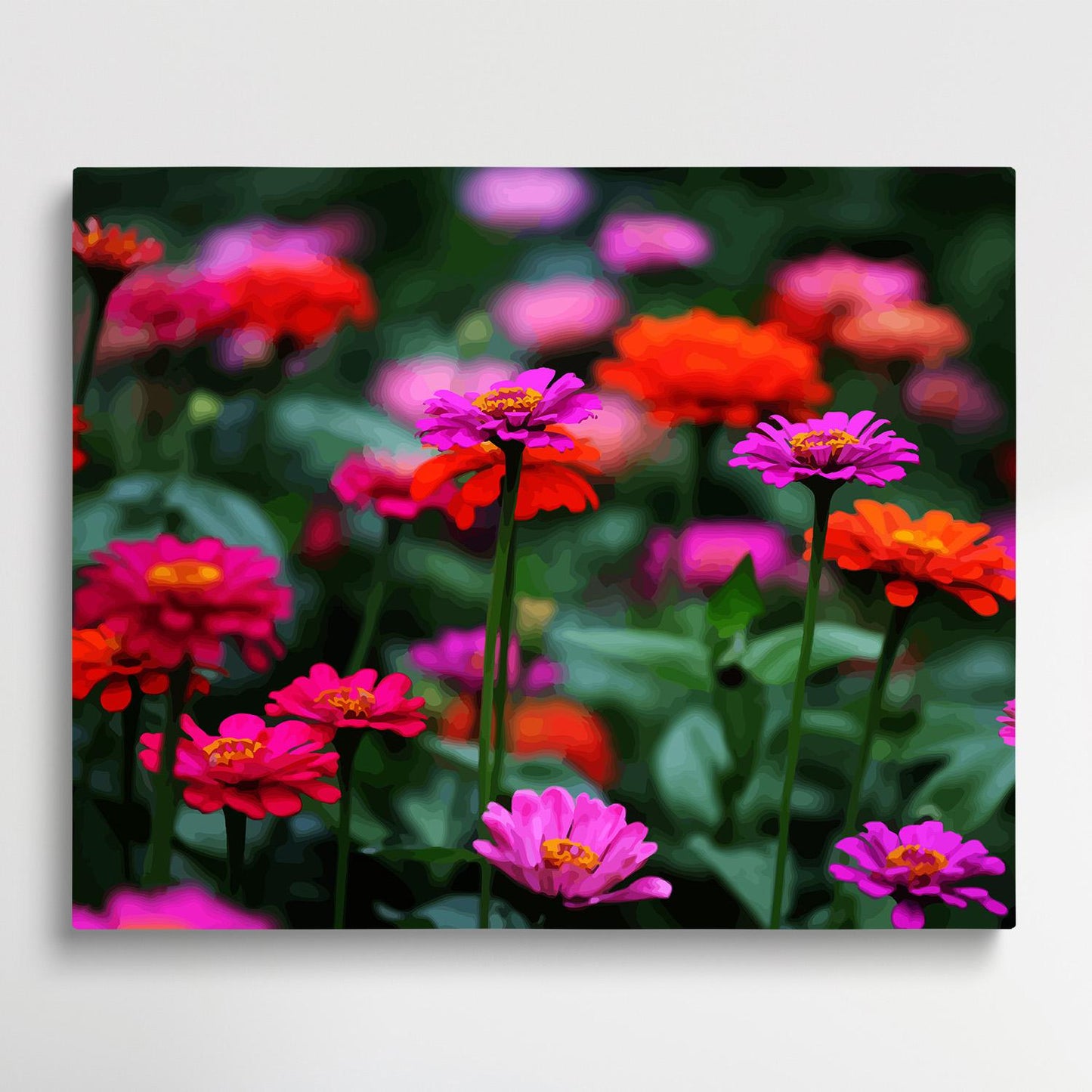 Colored Daisy V3 | Paint by Numbers | Flowers-Paintsuper