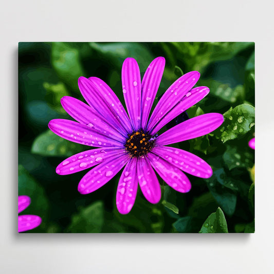 Colored Daisy V5 | Paint by Numbers | Flowers-Paintsuper