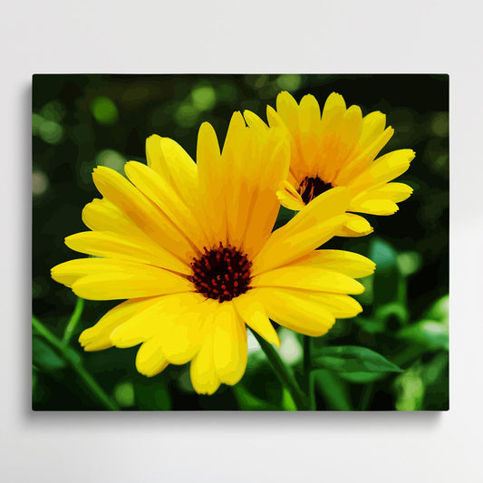 Colored Daisy V6 | Paint by Numbers | Flowers-Paintsuper