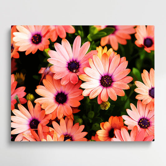 Colored Daisy V7 | Paint by Numbers | Flowers-Paintsuper