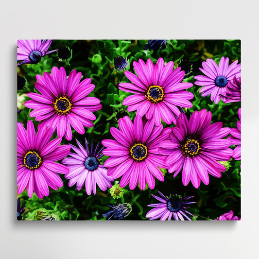 Colored Daisy V8 | Paint by Numbers | Flowers-Paintsuper