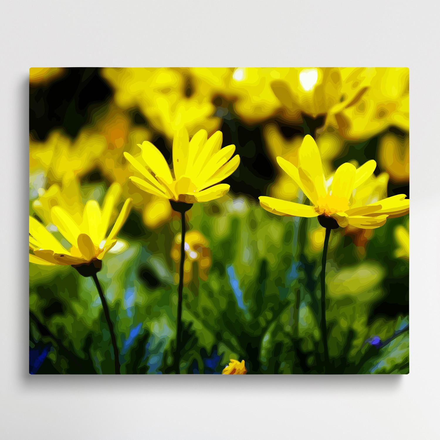Colored Daisy V9 | Paint by Numbers | Flowers-Paintsuper