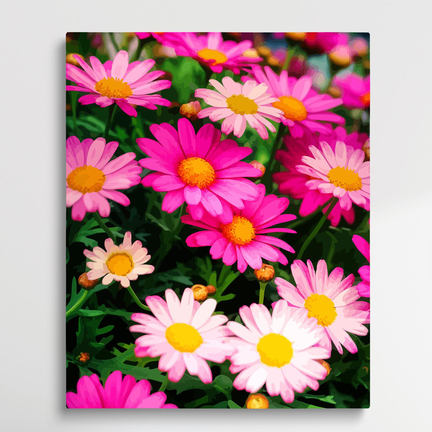 Colored Daisy | Paint by Numbers | Flowers-Paintsuper