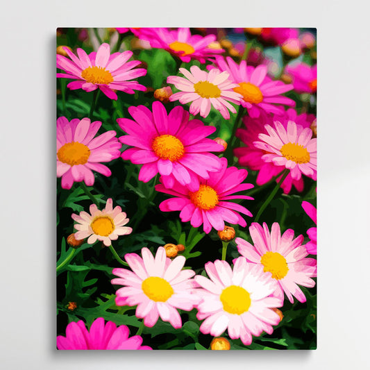 Colored Daisy | Paint by Numbers | Flowers-Paintsuper