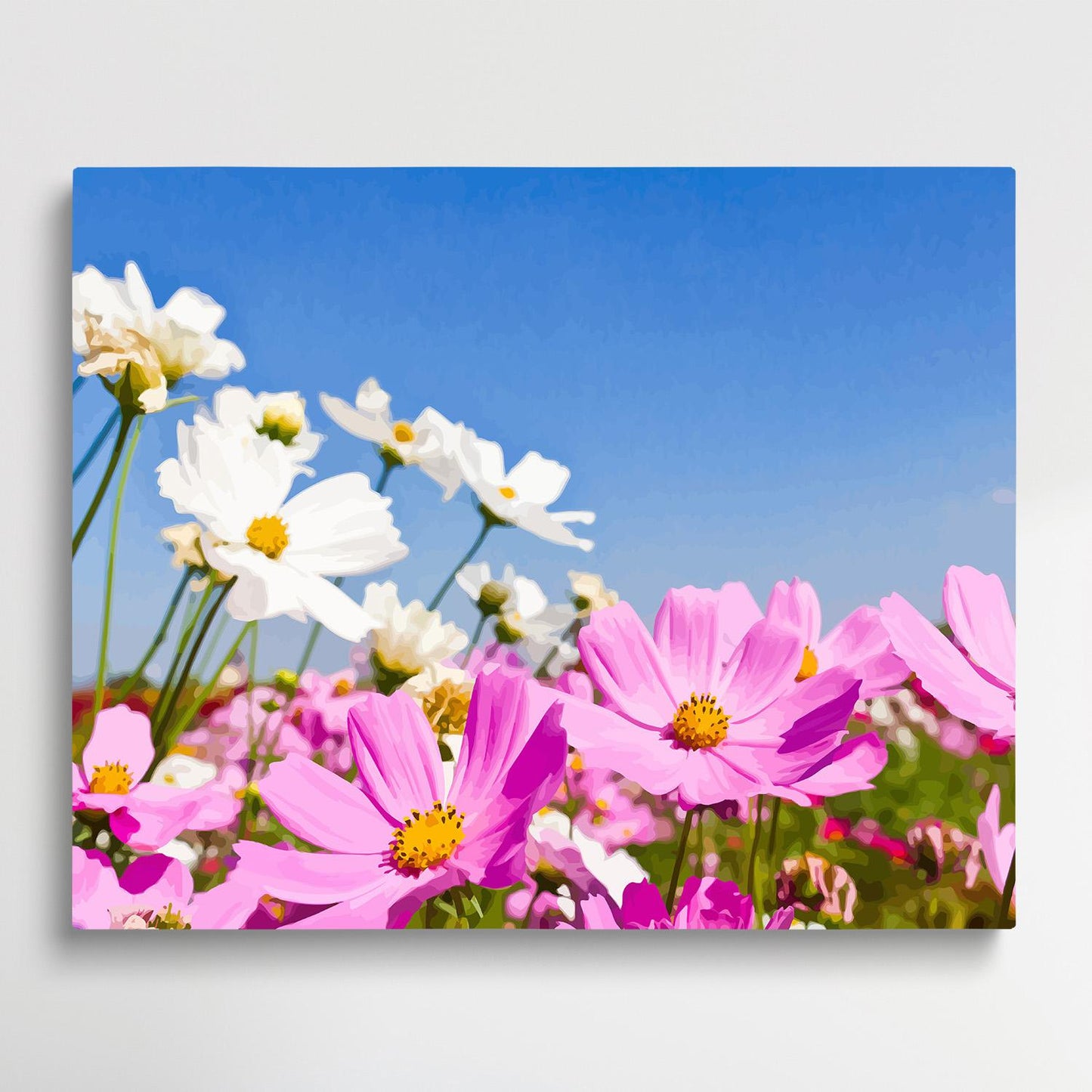 Cosmos flowers V1 | Paint by Numbers | Flowers-Paintsuper