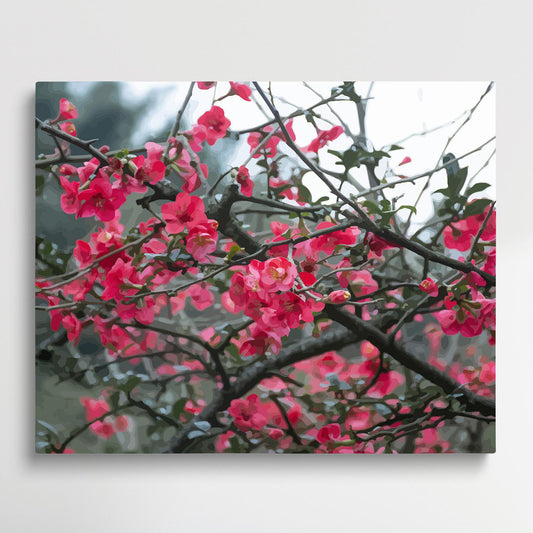 Crabapple flower V1 | Paint by Numbers | Flowers-Paintsuper