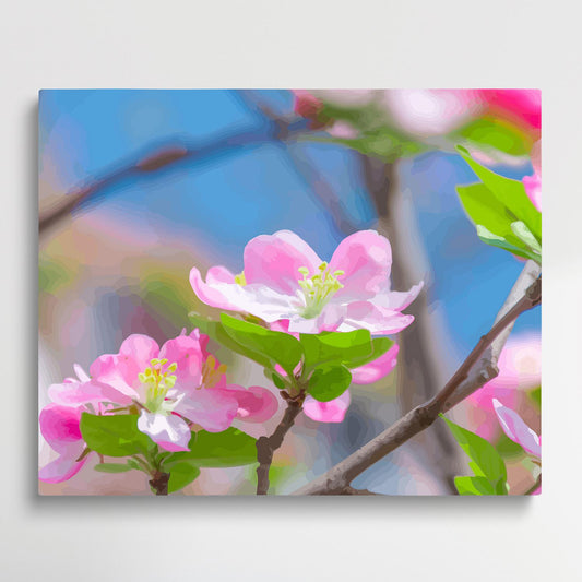Crabapple flower V2 | Paint by Numbers | Flowers-Paintsuper