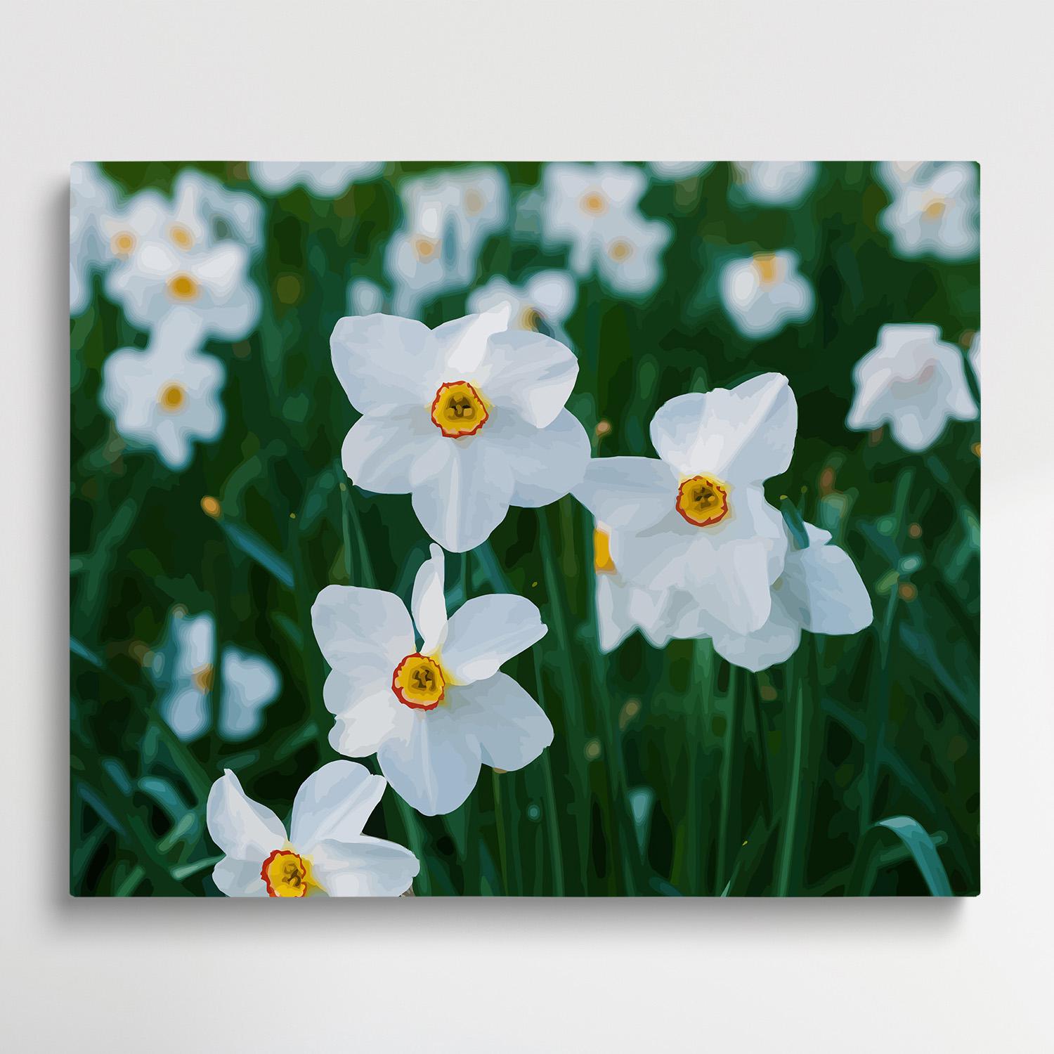 Daffodils V2 | Paint by Numbers | Flowers-Paintsuper