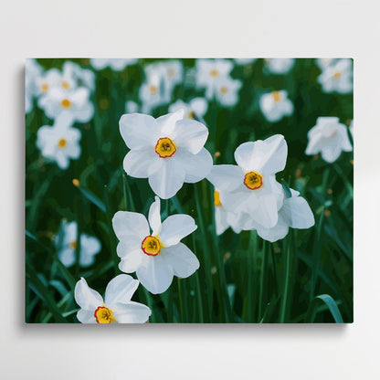 Daffodils V2 | Paint by Numbers | Flowers-Paintsuper