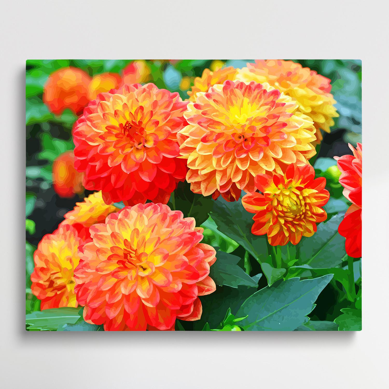 Dahlia Flower V2 | Paint by Numbers | Flowers-Paintsuper