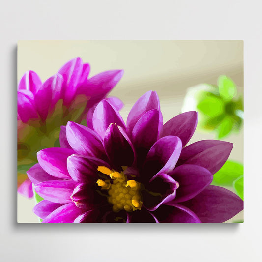 Dahlia Flower V3 | Paint by Numbers | Flowers-Paintsuper
