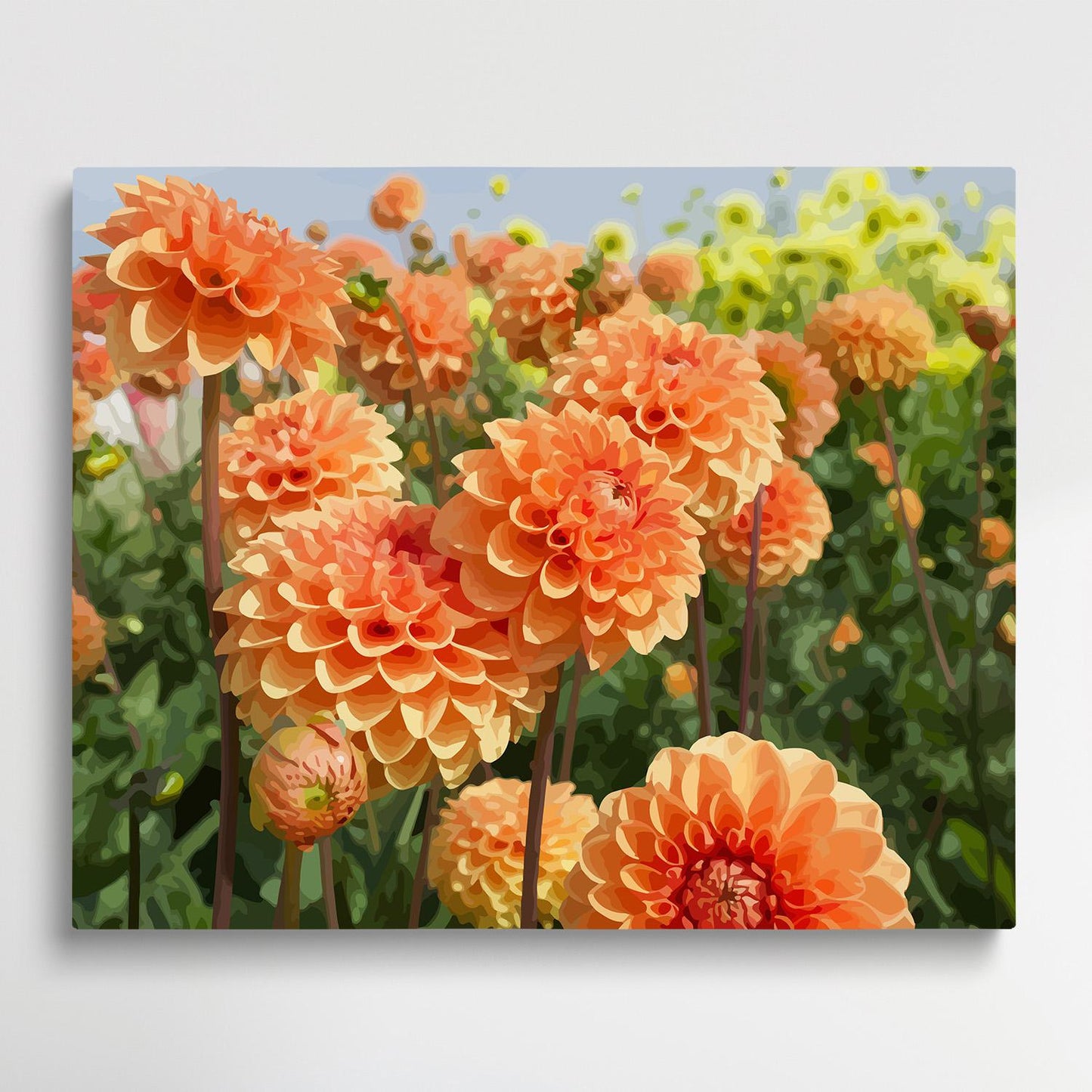 Dahlia Flower V4 | Paint by Numbers | Flowers-Paintsuper