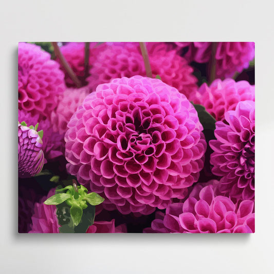 Dahlia Flower V5 | Paint by Numbers | Flowers-Paintsuper