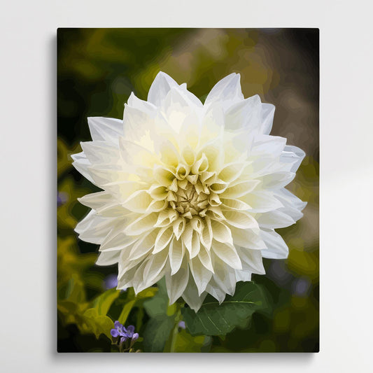 Dahlia V8 | Paint by Numbers | Flowers-Paintsuper