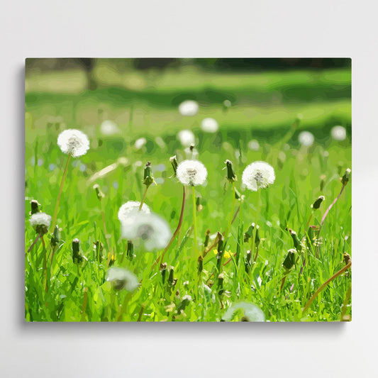 Dandelion V1 | Paint by Numbers | Flowers-Paintsuper