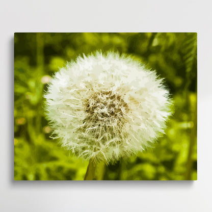 Dandelion V2 | Paint by Numbers | Flowers-Paintsuper