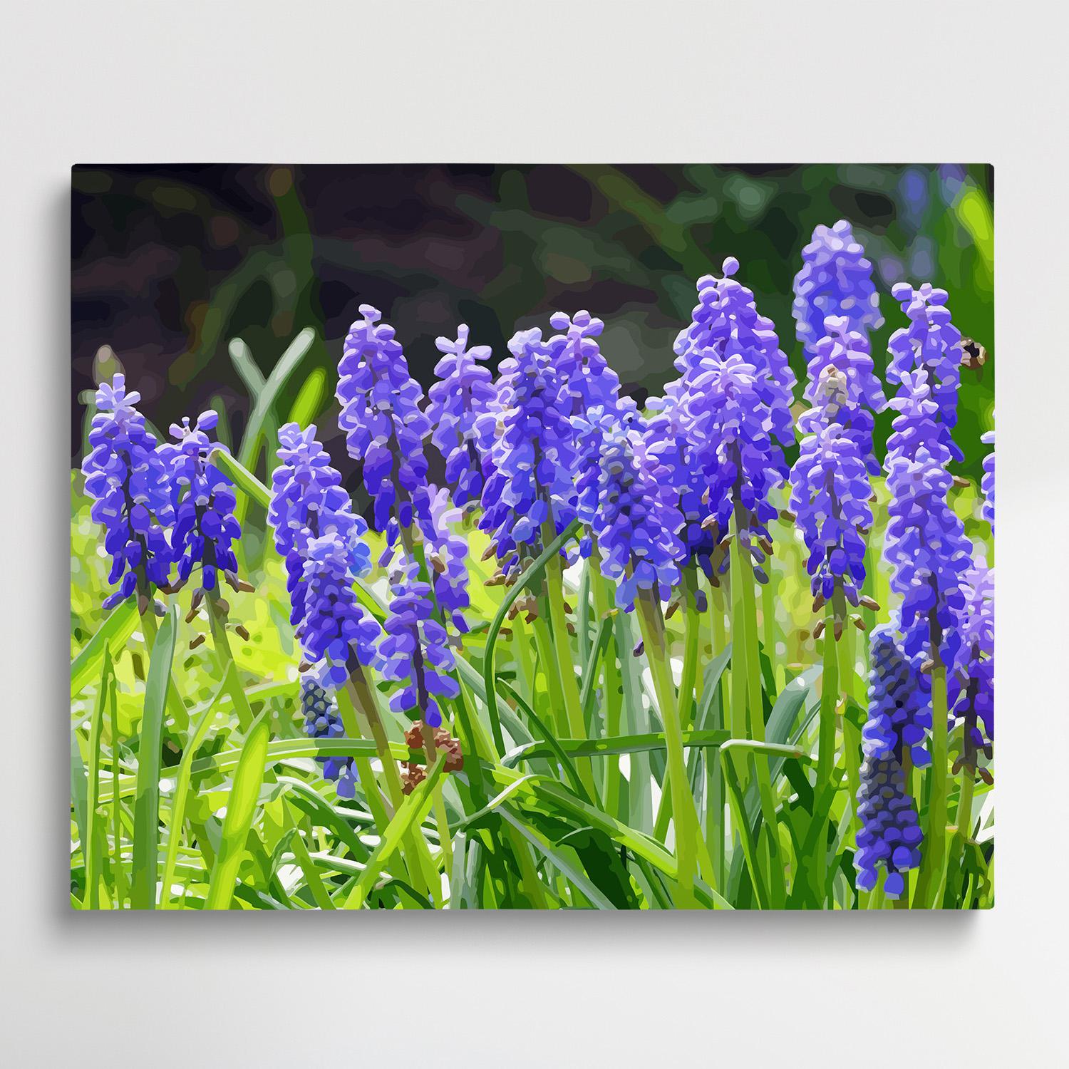 Hyacinth V1 | Paint by Numbers | Flowers-Paintsuper