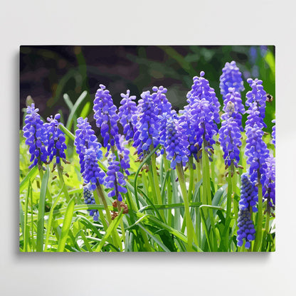 Hyacinth V1 | Paint by Numbers | Flowers-Paintsuper