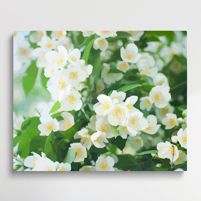 Jasmine V1 | Paint by Numbers | Flowers-Paintsuper