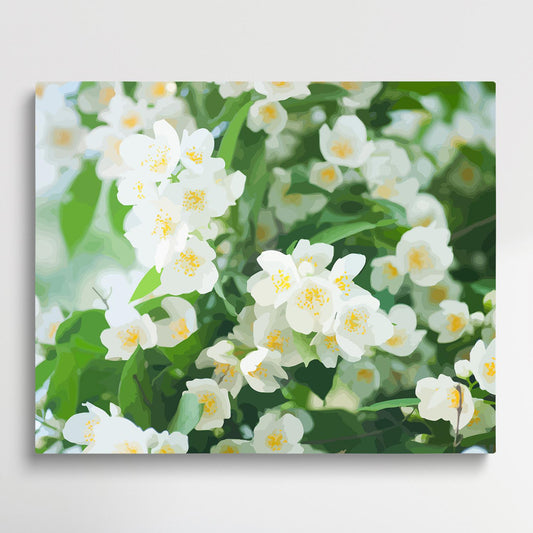 Jasmine V1 | Paint by Numbers | Flowers-Paintsuper