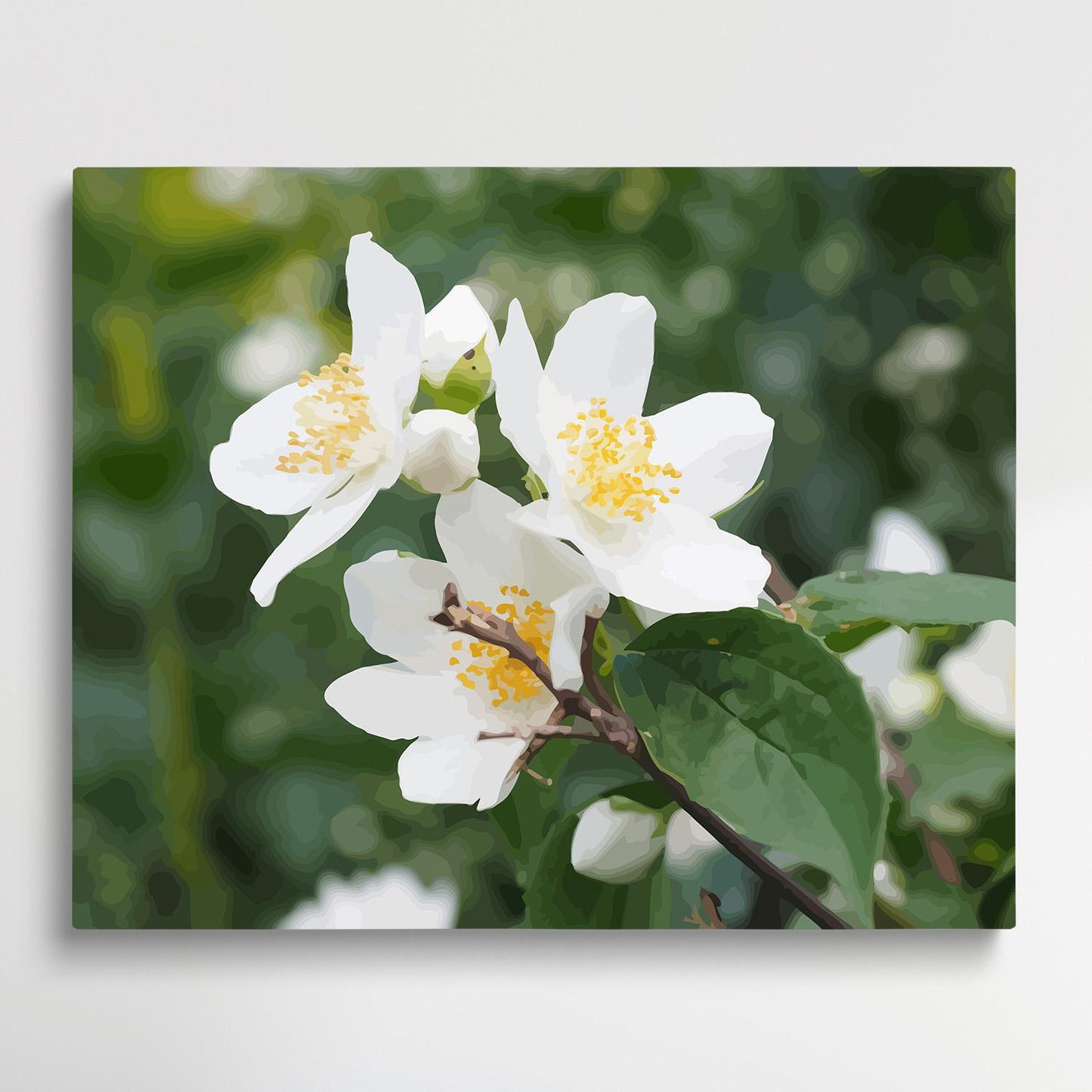 Jasmine V2 | Paint by Numbers | Flowers-Paintsuper