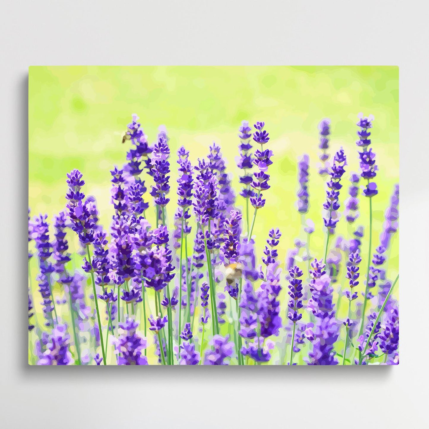 Lavender V1 | Paint by Numbers | Flowers-Paintsuper